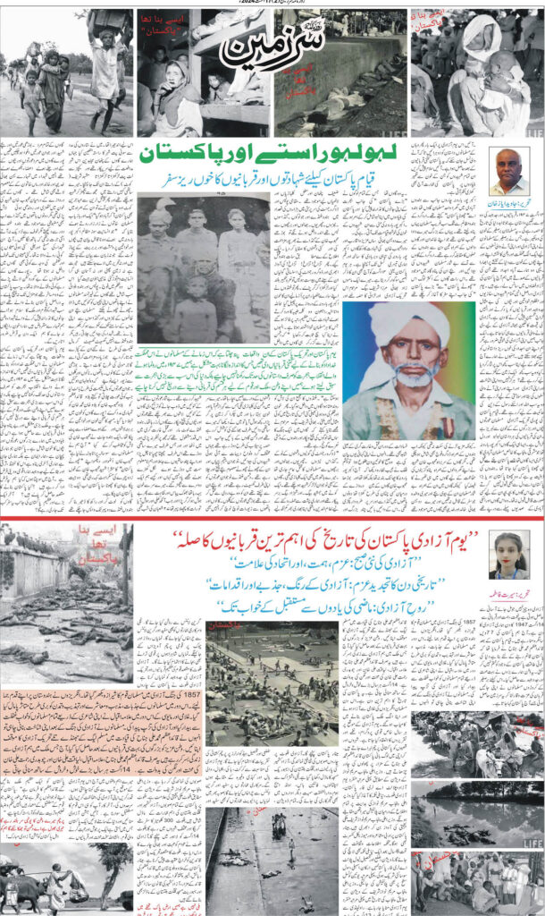 17/08/24 Daily Sarzameen Lahore Page 2