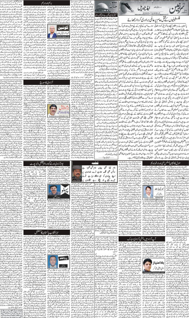 13/08/24 Daily Sarzameen Lahore Page 4