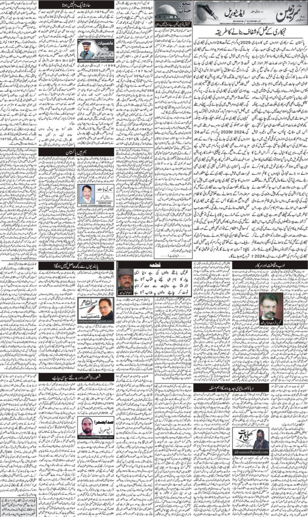 17/08/24 Daily Sarzameen Lahore Page 3