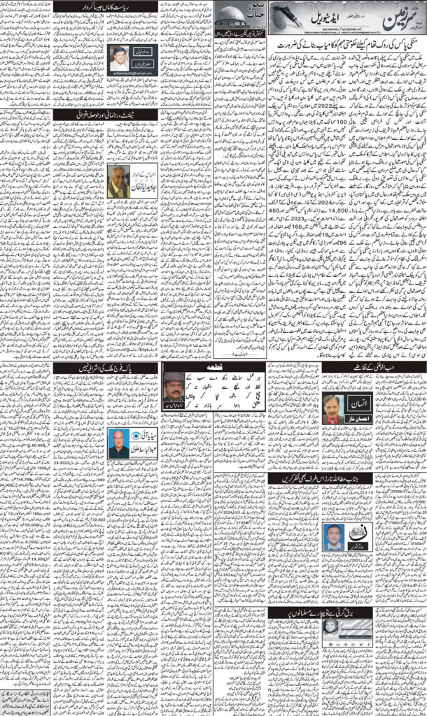 19/08/24 Daily Sarzameen Lahore Page 3