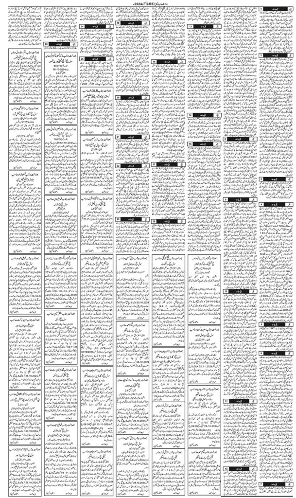 28/10/2024 Daily Sarzameen Lahore Page 5