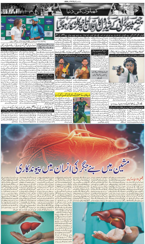 11/11/2024 Daily Sarzameen Lahore Page 2