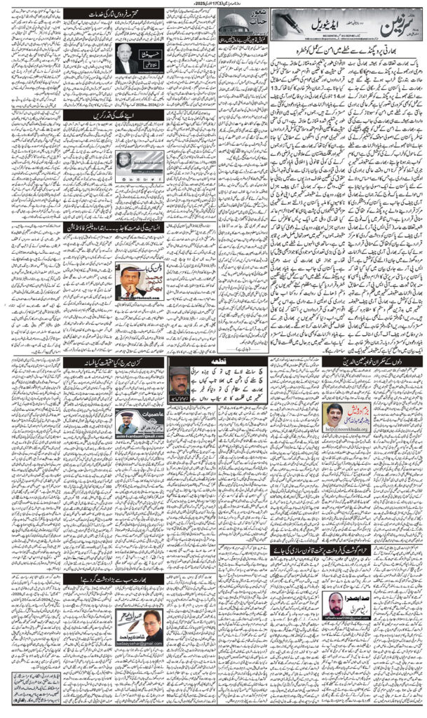 17/01/2025 Daily Sarzameen Lahore Page 3