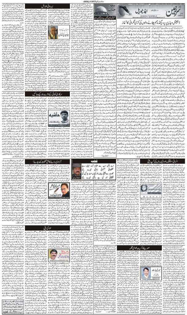 25/01/2025 Daily Sarzameen Lahore Page 3