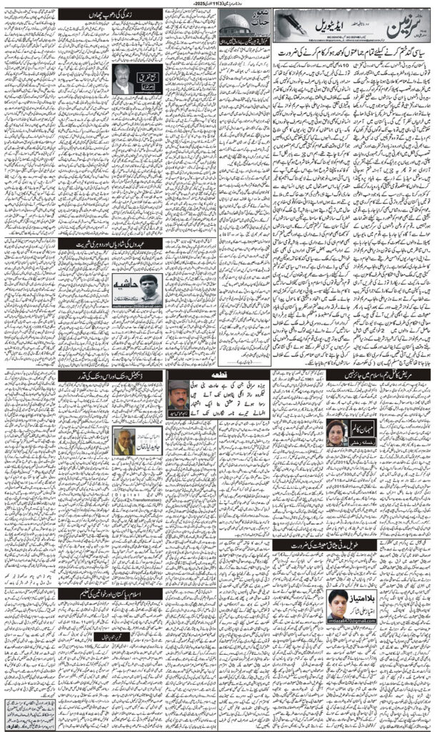 11/01/2025 Daily Sarzameen Lahore Page 3