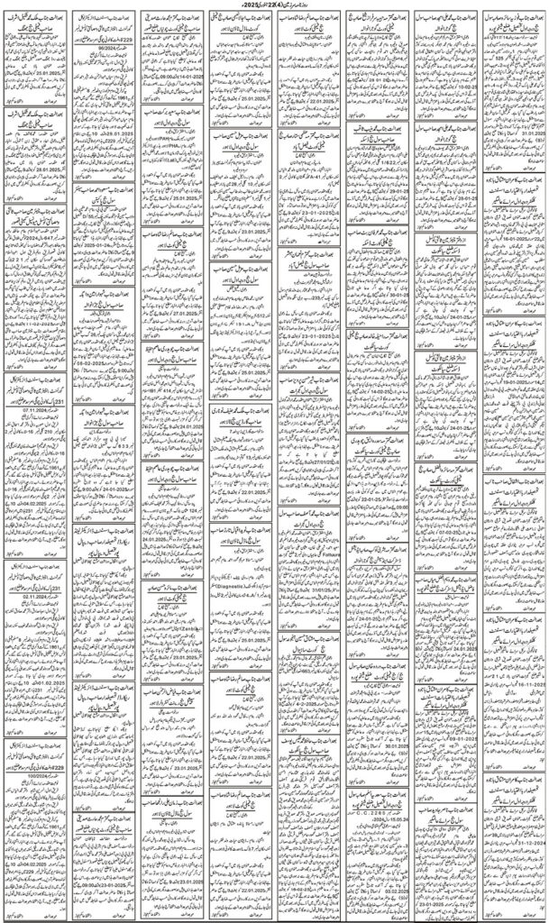 22/01/2025 Daily Sarzameen Lahore Page 4