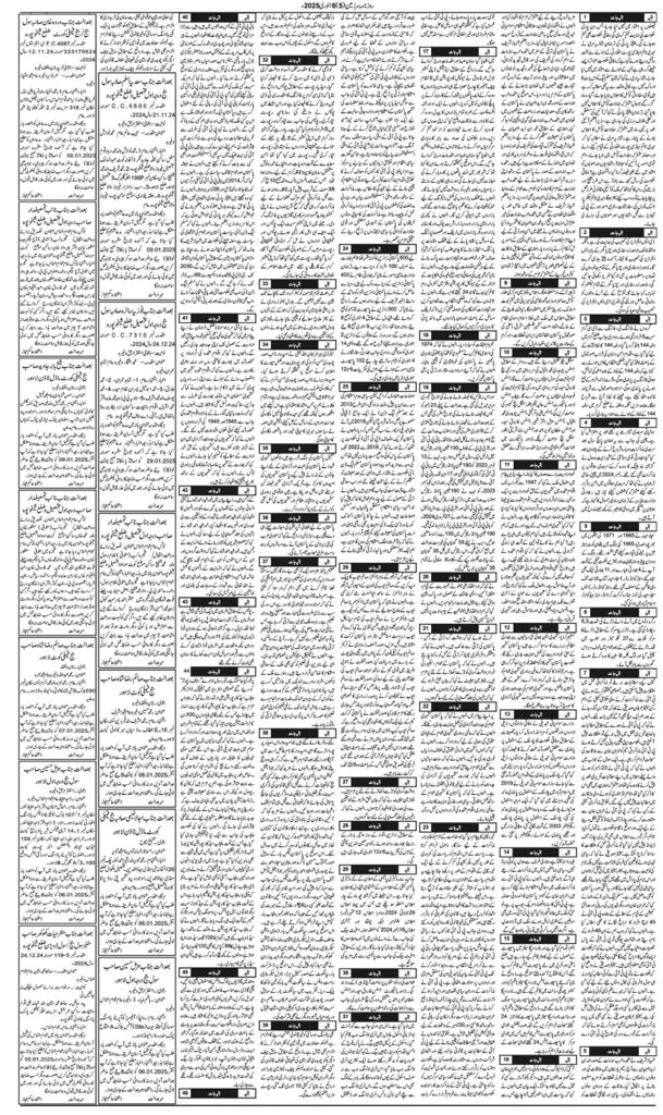 06/01/2025 Daily Sarzameen Lahore Page 5