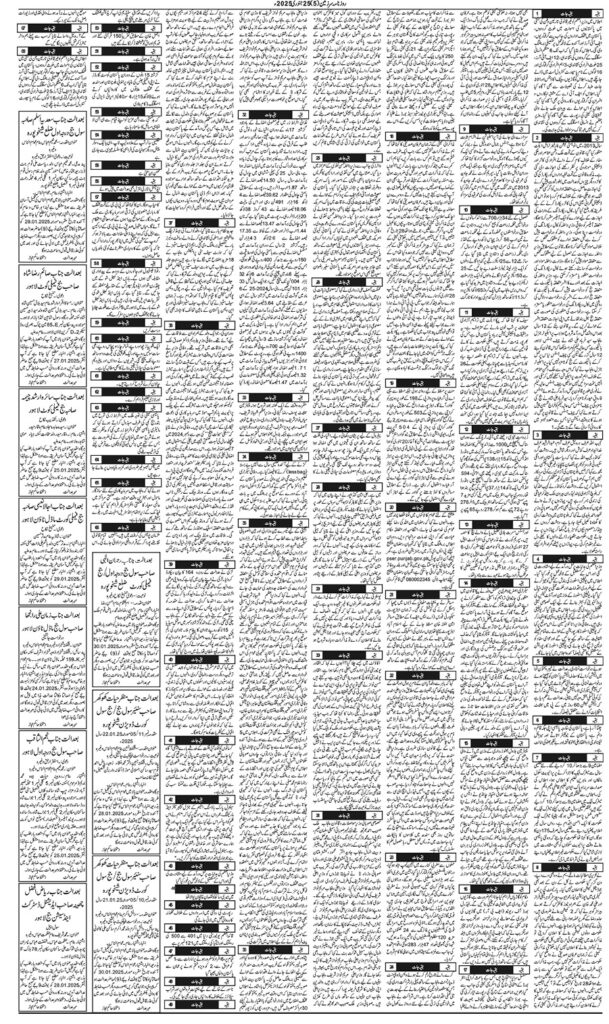 25/01/2025 Daily Sarzameen Lahore Page 5