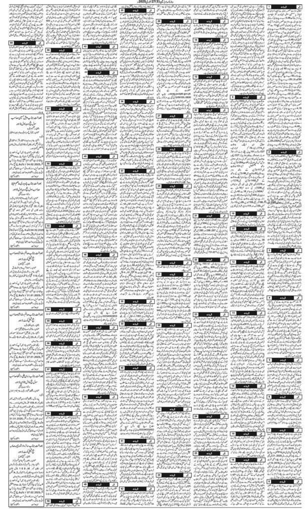 27/01/2025 Daily Sarzameen Lahore Page 5