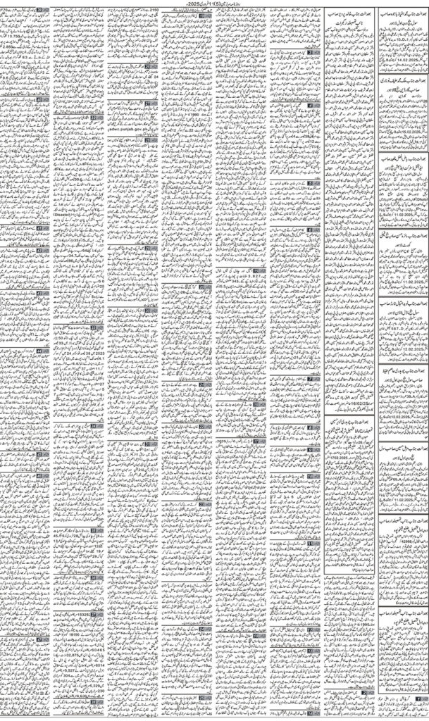 11/02/2025 Daily Sarzameen Lahore Page 5