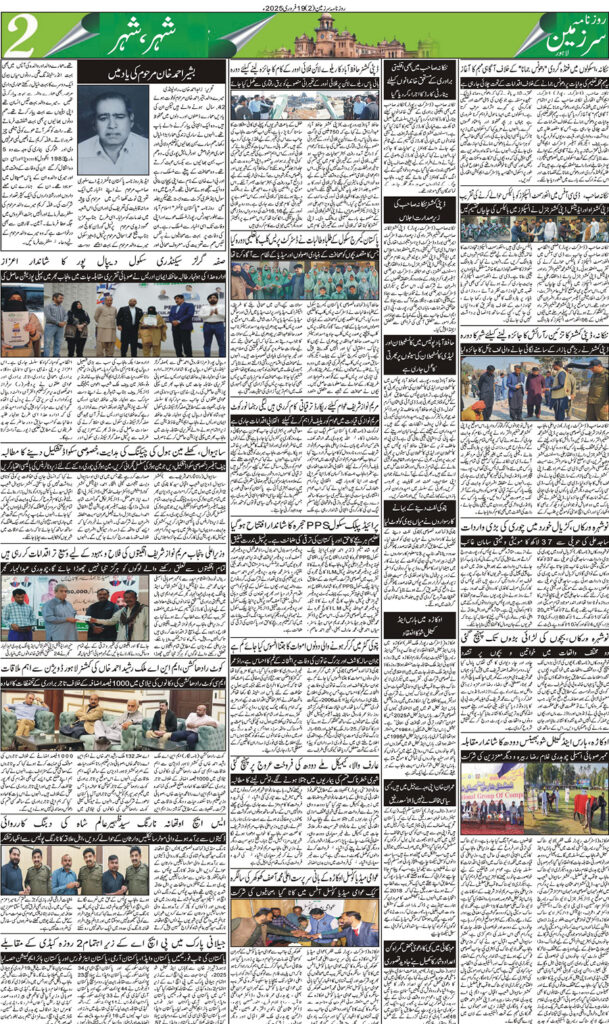 19/02/2025 Daily Sarzameen Lahore Page 2