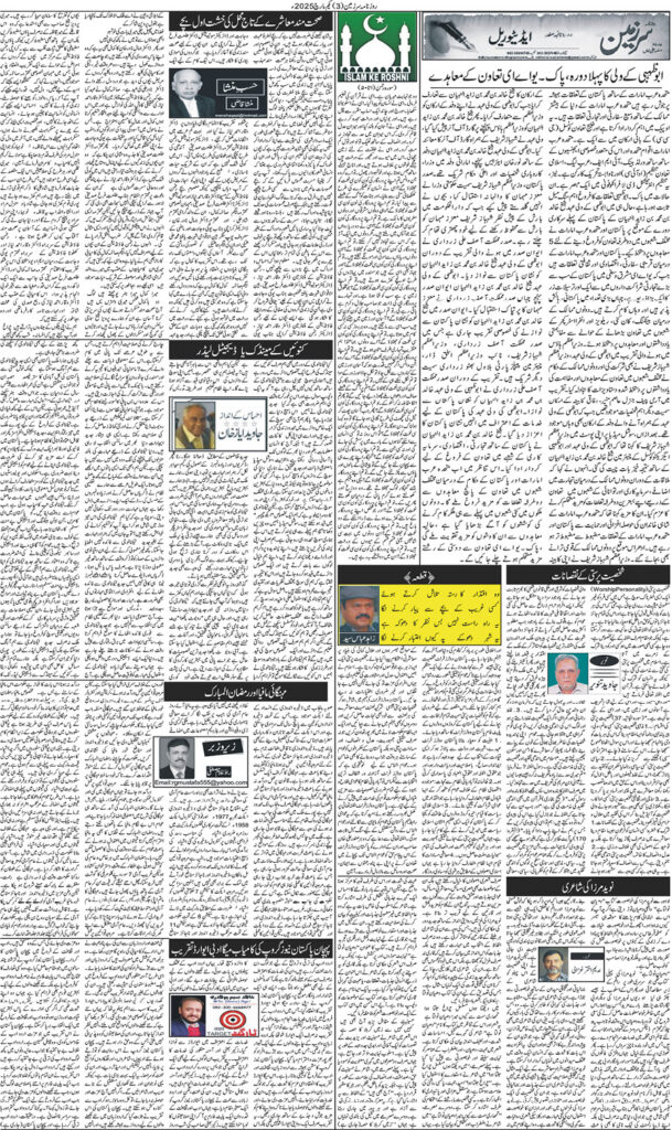 01/03/2025 Daily Sarzameen Lahore Page 3