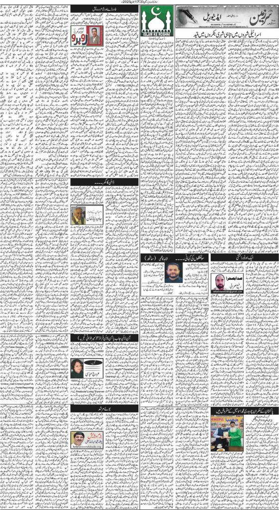 17/06/2025 Daily Sarzameen Lahore Page 3