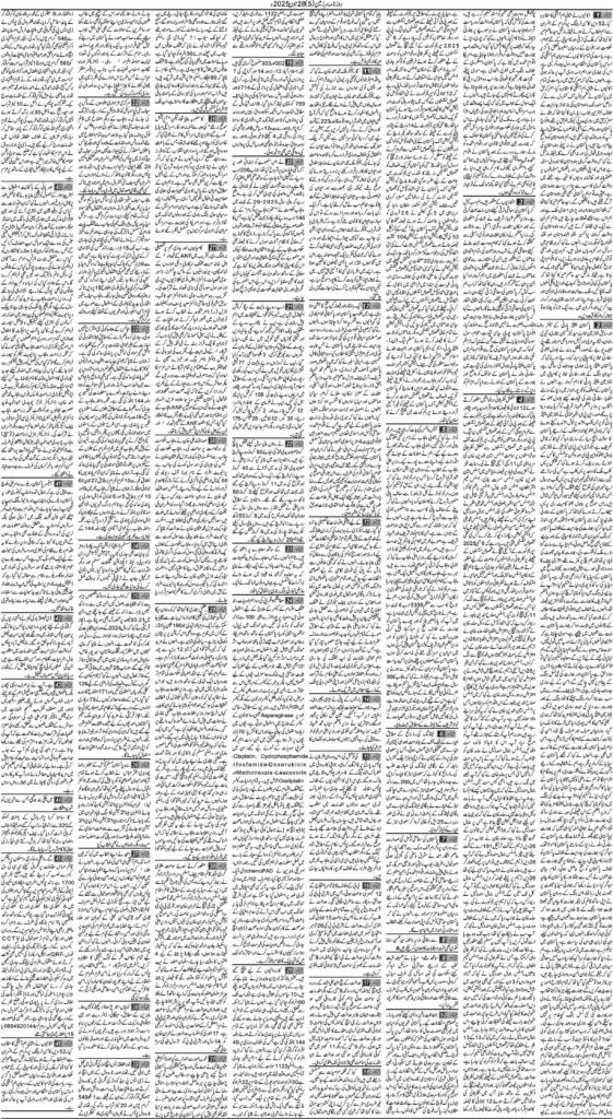 28/06/2025 Daily Sarzameen Lahore Page 5