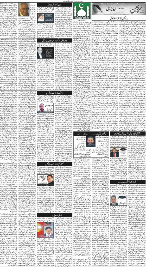 26/07/2025 Daily Sarzameen Lahore Page 3