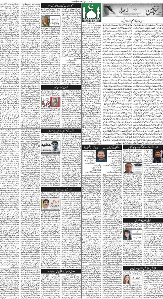 29/07/2025 Daily Sarzameen Lahore Page 3