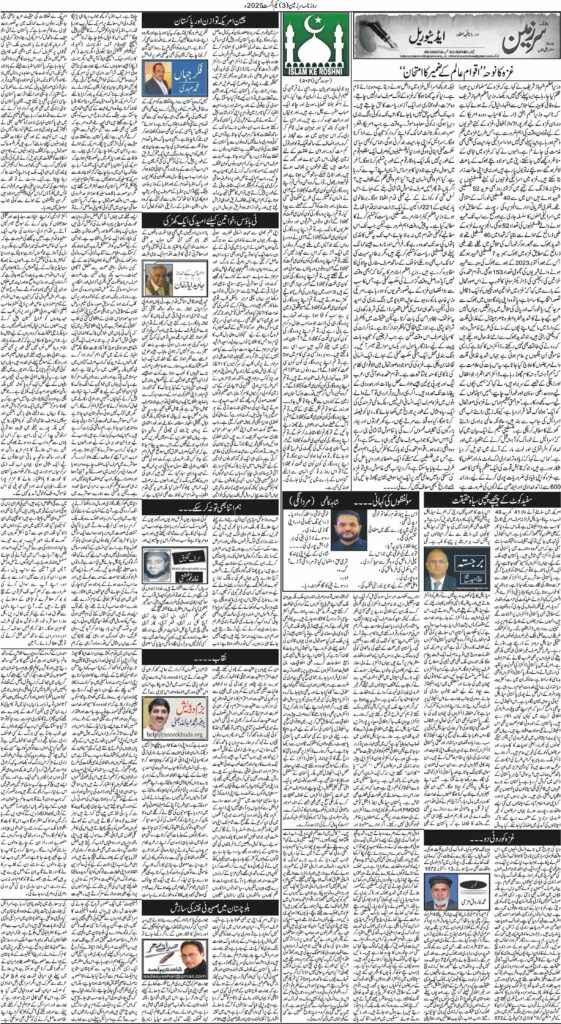 01/08/2025 Daily Sarzameen Lahore Page 3
