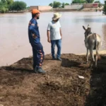 سو لفظوں کی کہانی لیڈر