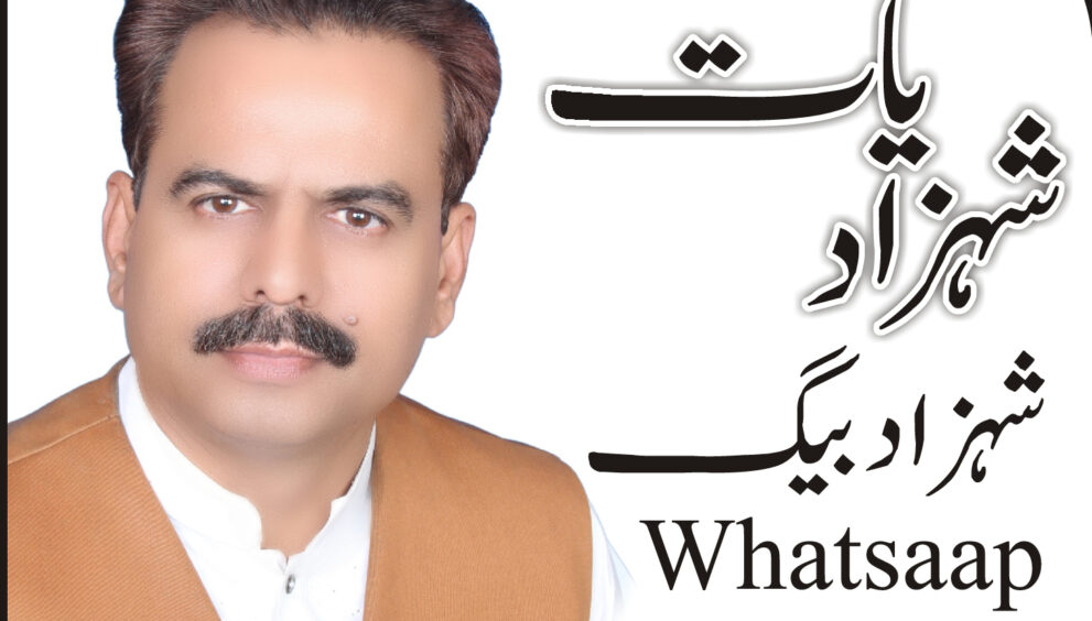 shehzad baig 2
