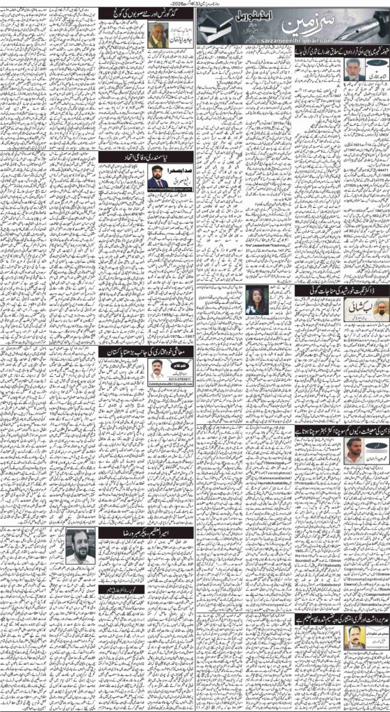04/08/2026 Daily Sarzameen Lahore Page 3